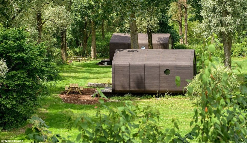 Assembled in 1 day, will last 100 years: the Dutch have created a fully functional cardboard house Assembled in 1 day, will last 100 years: the Dutch have created a fully functional cardboard house