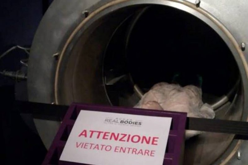 Atrapado en la eternidad: cómo un italiano obeso se convirtió en prisionero de la criocápsula rusa Atrapado en la eternidad: cómo un italiano obeso se convirtió en prisionero de la criocápsula rusa