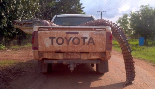 Australia: Un continente mortal