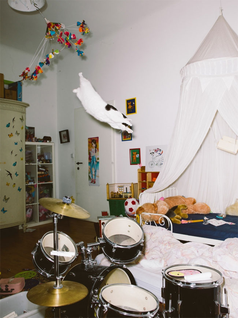 Austrian photographer shoots flying cats