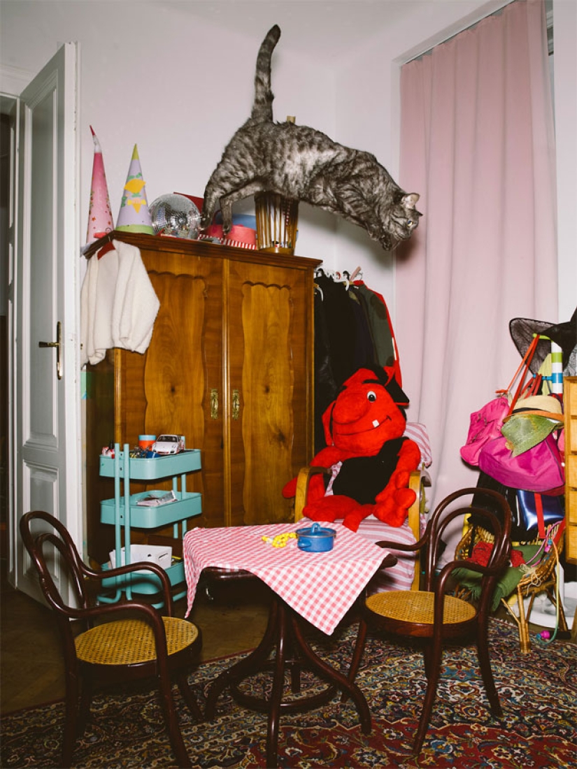 Austrian photographer shoots flying cats