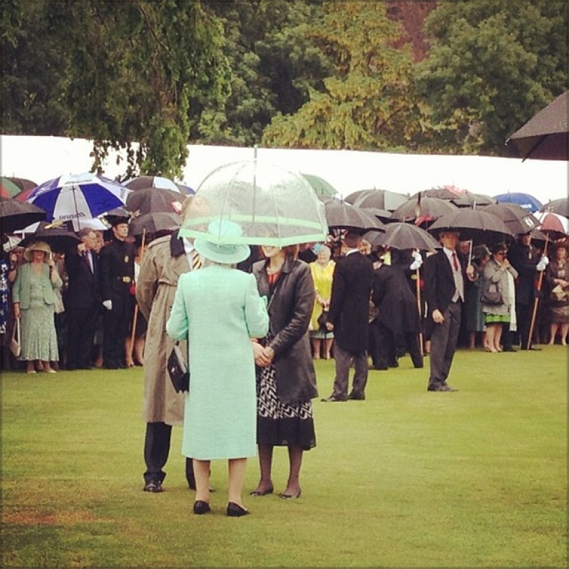 Baba Lisa's wonderful Instagram is a story right now