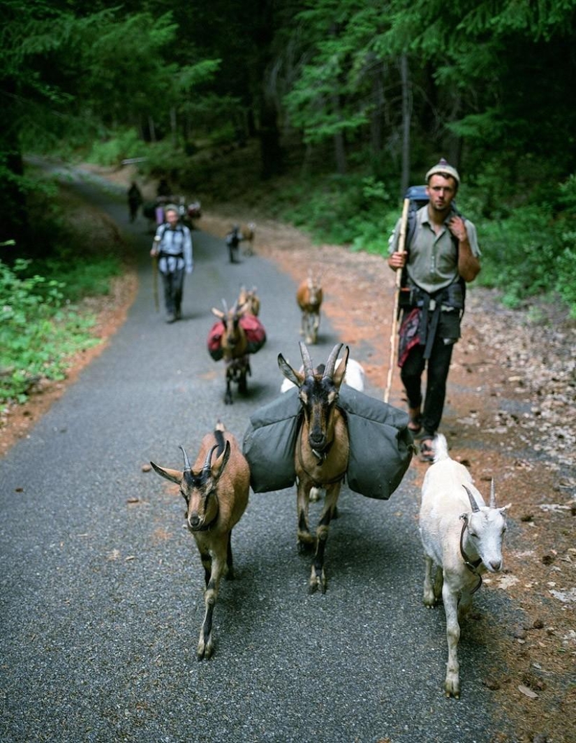 Back to the origins: How modern hunters and gatherers live