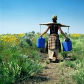 Back to the origins: How modern hunters and gatherers live