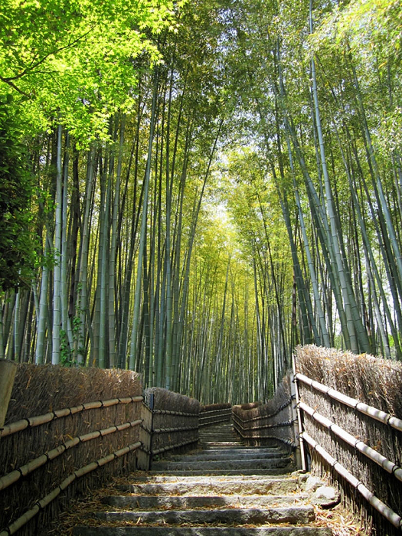 Bamboo corridor at the foot of the mountain in Kyoto Bamboo corridor at the foot of the mountain in Kyoto