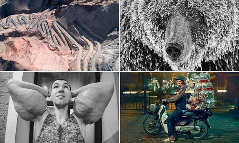 Bazooka hands and other pictures from the Sony World Photography Award 2020 shortlist