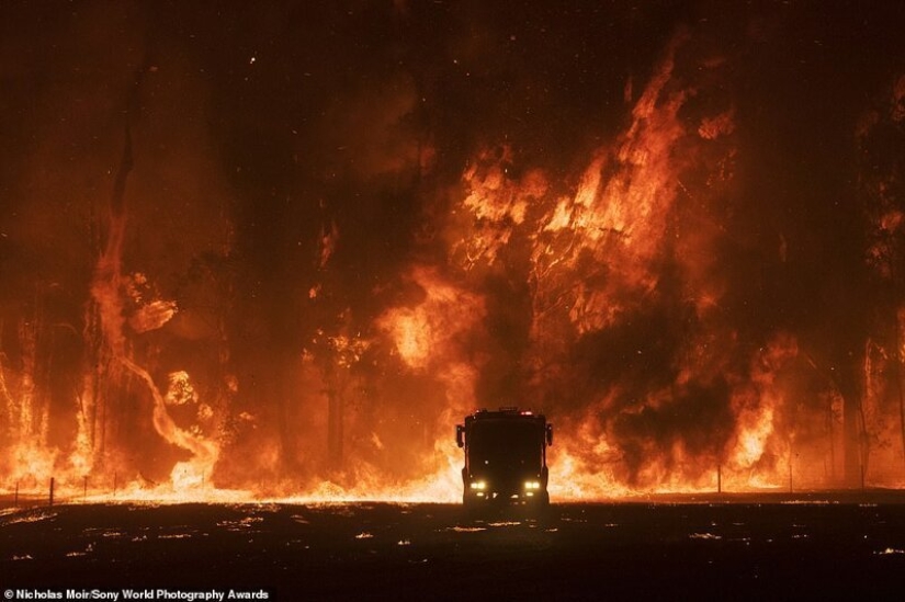 Bazooka hands and other pictures from the Sony World Photography Award 2020 shortlist