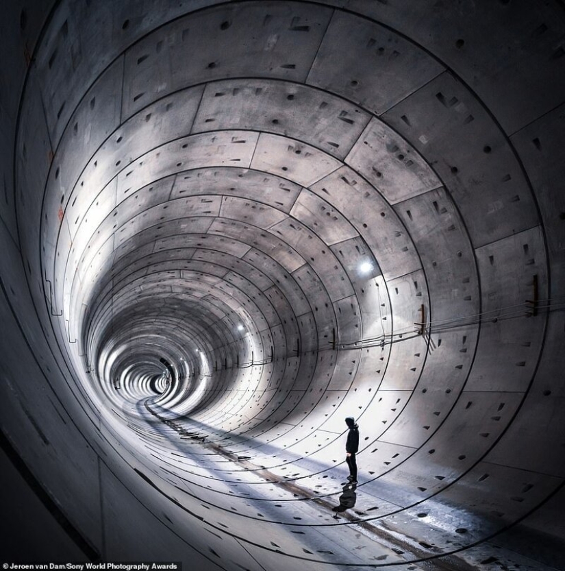 Bazooka hands and other pictures from the Sony World Photography Award 2020 shortlist