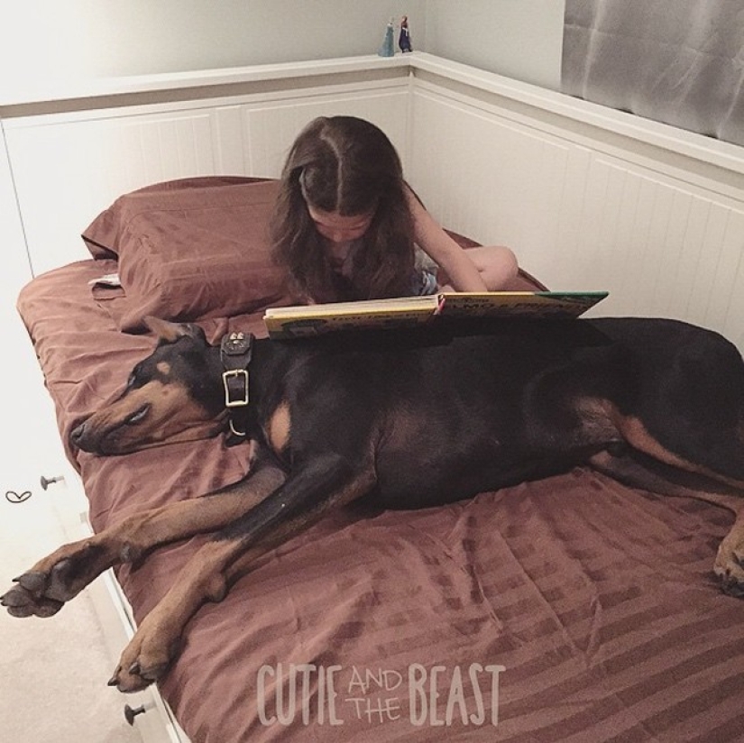 Beauty and the Beast: the amazing friendship of a tiny girl with a giant Doberman