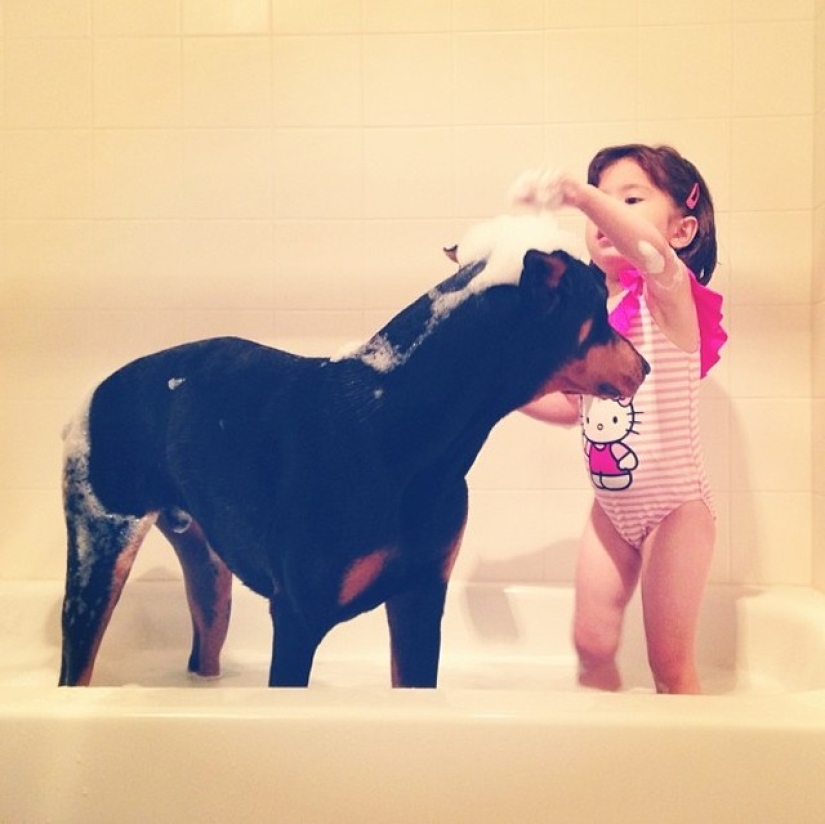 Beauty and the Beast: the amazing friendship of a tiny girl with a giant Doberman