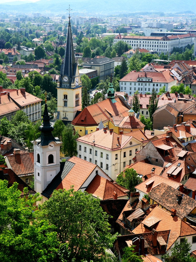 Belleza modesta escondida en los bosques… Ljubljana Belleza modesta escondida en los bosques… Ljubljana