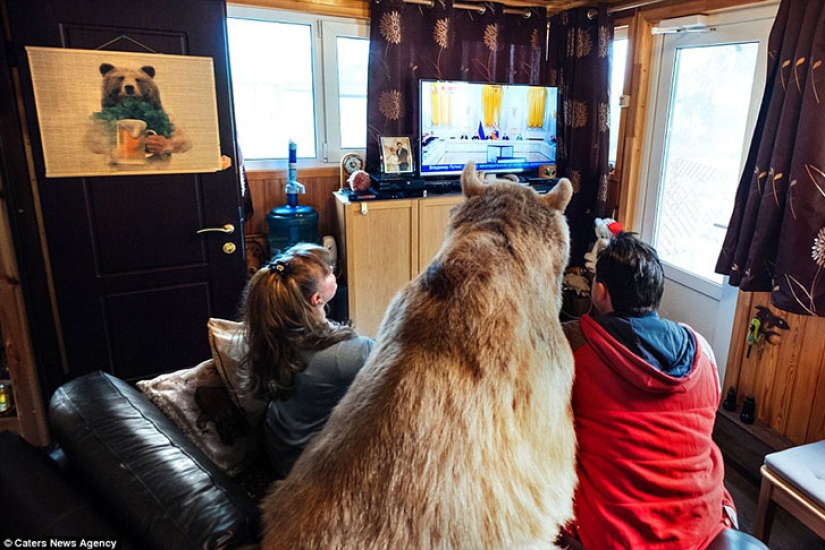Big, plush, yours: the story of Stepan the bear, who lives in a Russian family