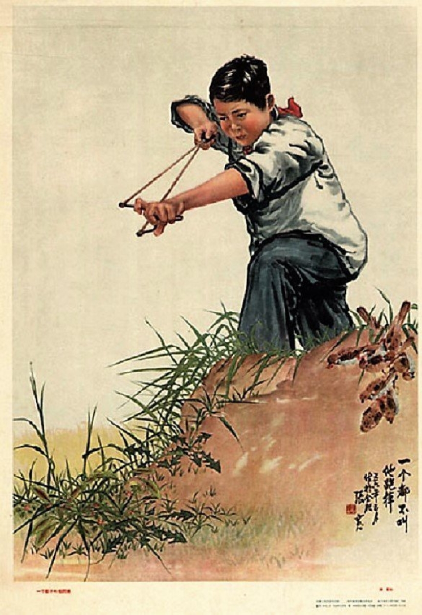 Bird genocide: how nature took revenge on the Chinese for the extermination of sparrows