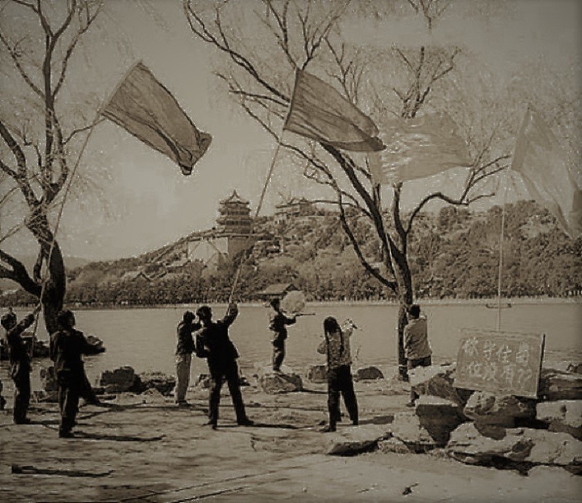 Bird genocide: how nature took revenge on the Chinese for the extermination of sparrows