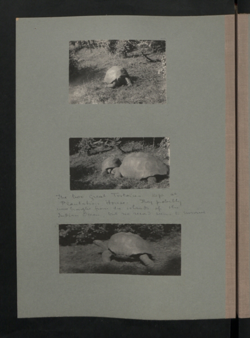 Black and white St. Helena Island