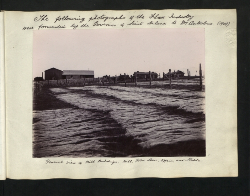 Black and white St. Helena Island