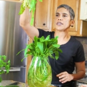 Blogger who was "cured" of cancer and non-traditional orientation with the help of veganism, died of cancer