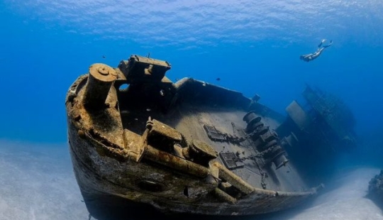 Bodybuilder Turtle, Creepy US Navy Shipwreck and Shattered Fish in Scotland: Incredible Winners of Underwater Photographer of the Year 2022 Bodybuilder Turtle, Creepy US Navy Shipwreck and Shattered Fish in Scotland: Incredible Winners of Underwater Photographer of the Year 2022