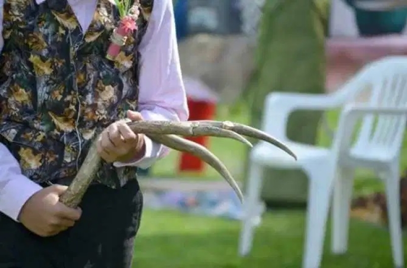 Bombardment with negativity: the newlyweds were criticized for a hunting-style wedding