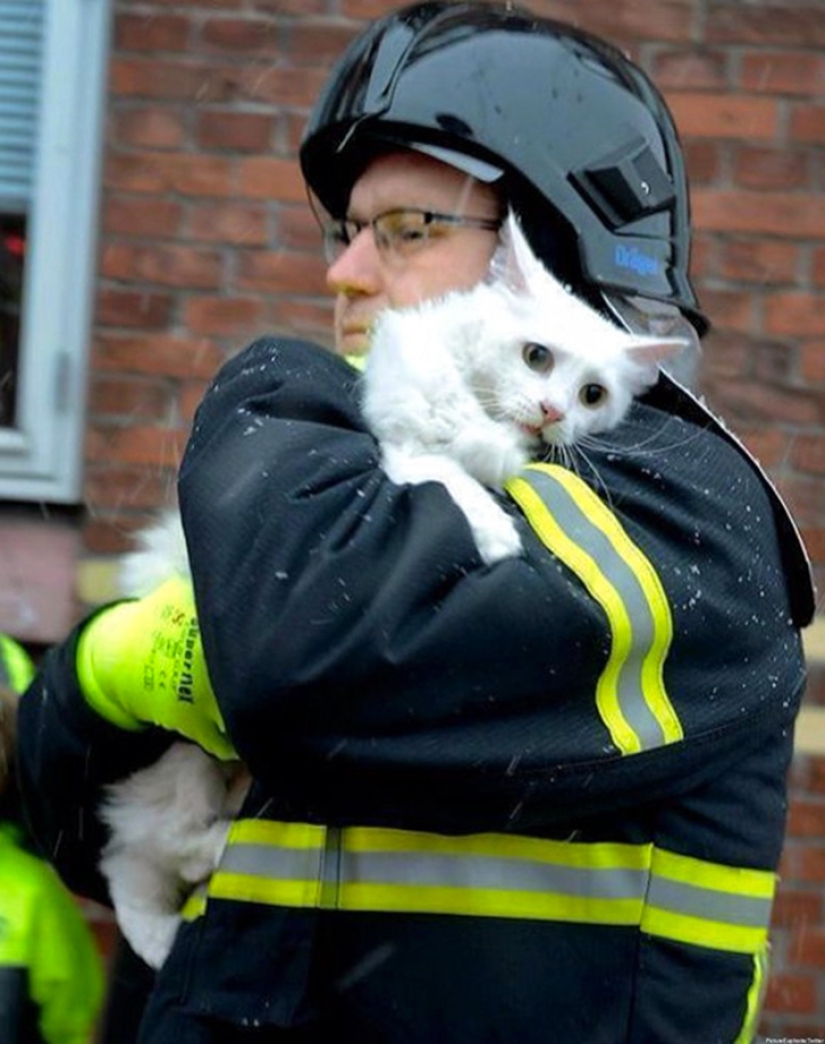 Brave firefighters who risked their lives to save animals