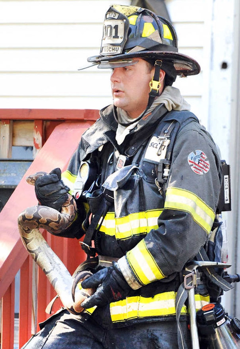 Brave firefighters who risked their lives to save animals