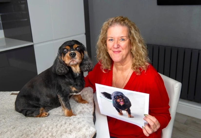 Breathed a sigh of relief: 6 pets who got into shape after obesity