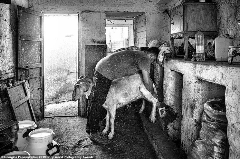 Breathtaking photos: the best works of Sony World Photography Awards 2019