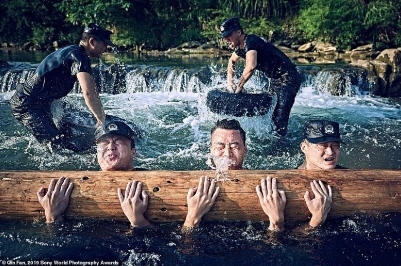 Breathtaking photos: the best works of Sony World Photography Awards 2019