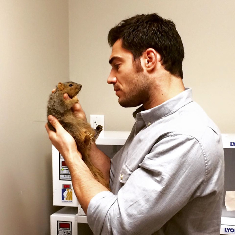 Bueno, ¿no es este el veterinario más sexy?