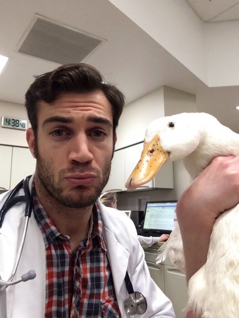 Bueno, ¿no es este el veterinario más sexy?