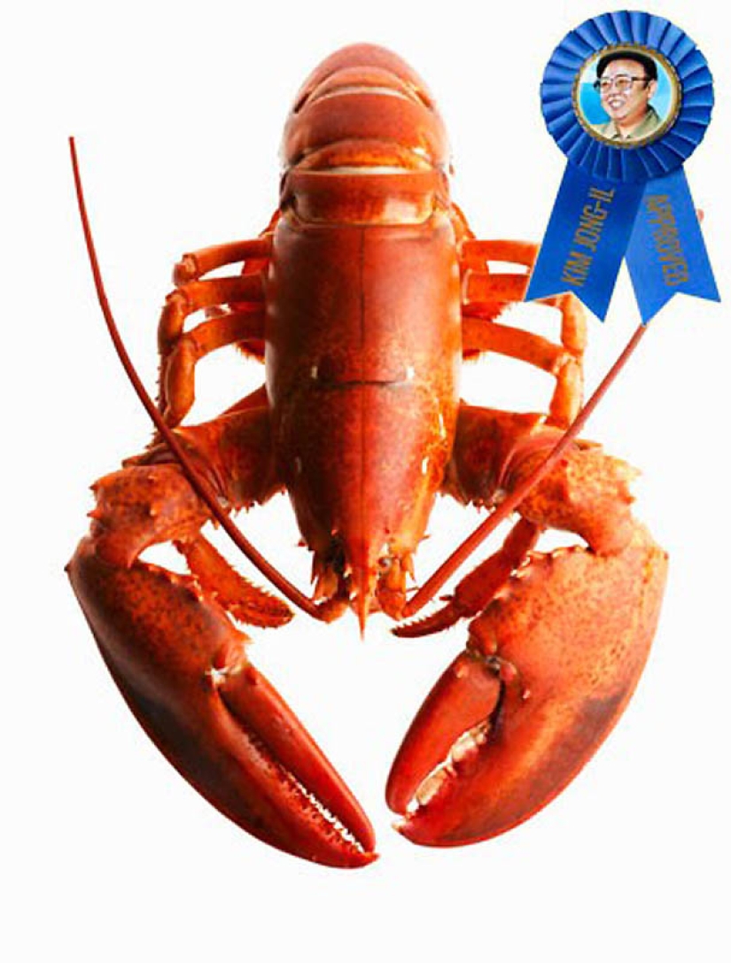 Burro frito, Pato Lucas y 8 otras cosas que le encantaron a Kim Jong Il Burro frito, Pato Lucas y 8 otras cosas que le encantaron a Kim Jong Il