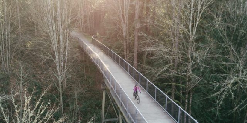 Buying a New Bike: The 12-Point Plan