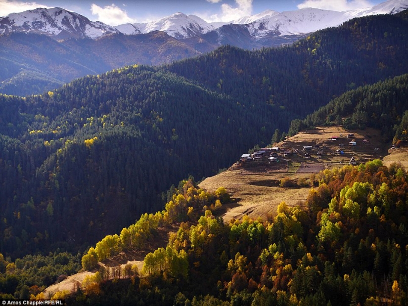 Cada año, miles de ovejas en Georgia hacen un viaje peligroso desde las montañas con una altura de 3000 metros Cada año, miles de ovejas en Georgia hacen un viaje peligroso desde las montañas con una altura de 3000 metros