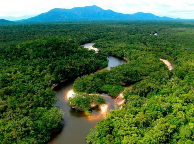 Calles limpias, derechos de los árboles y una semana laboral de 4 días: las innovaciones más sorprendentes en otros países