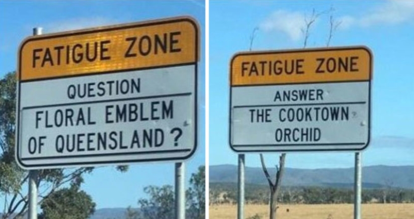 Calles limpias, derechos de los árboles y una semana laboral de 4 días: las innovaciones más sorprendentes en otros países
