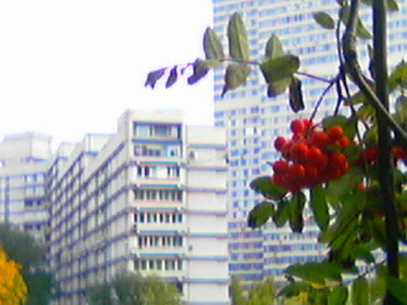 Cambio descendente de fotos: un moscovita ha estado filmando con un Siemens de botón pulsador durante tres años, y a la gente le gusta