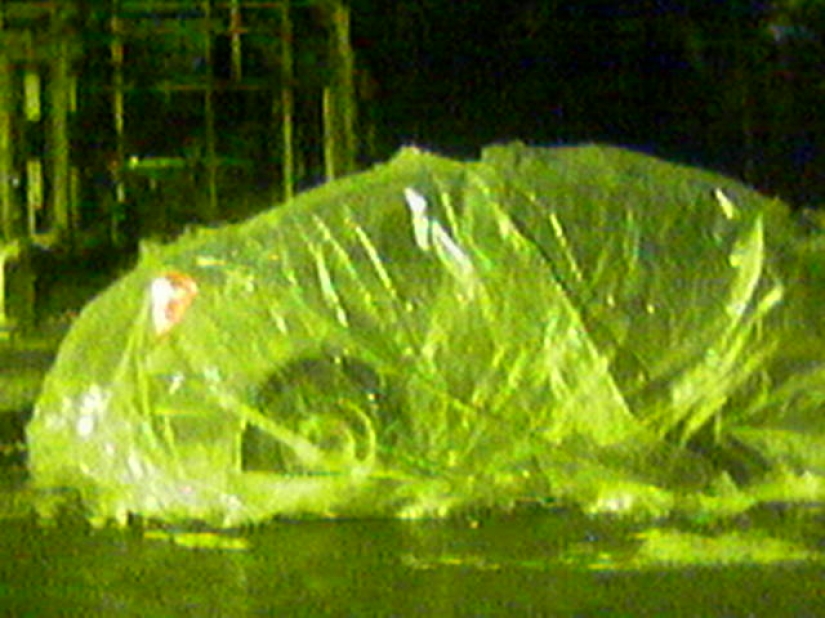 Cambio descendente de fotos: un moscovita ha estado filmando con un Siemens de botón pulsador durante tres años, y a la gente le gusta