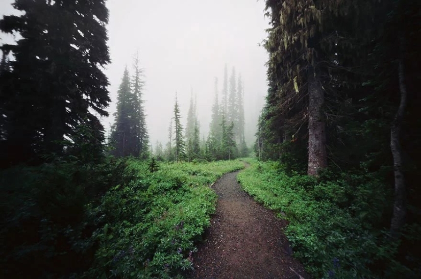 Caminos mágicos que conducen directamente a un cuento de hadas