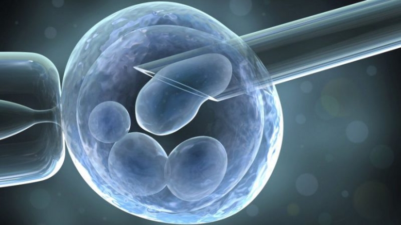 Can IVF cause cancer? Opinion of medical experts