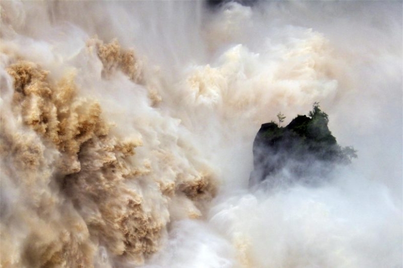 Canguros bajo la nieve y otras maravillas naturales de Australia en el concurso de fotografía Fotógrafo de Naturaleza del Año 2019