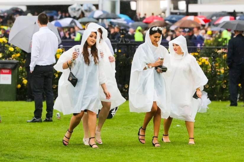 Carrera Alcohólica: Colapso de borrachos en la Carrera anual de Caballos de Melbourne