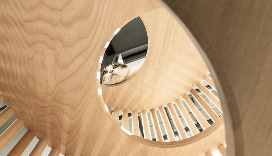 Casa para gatos de mármol y madera por medio millón de rublos