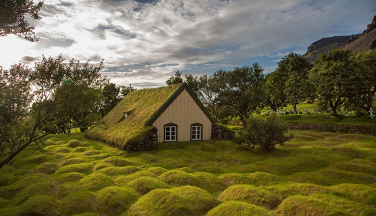 Casas escandinavas con techos verdes que parecen de un cuento de hadas Casas escandinavas con techos verdes que parecen de un cuento de hadas