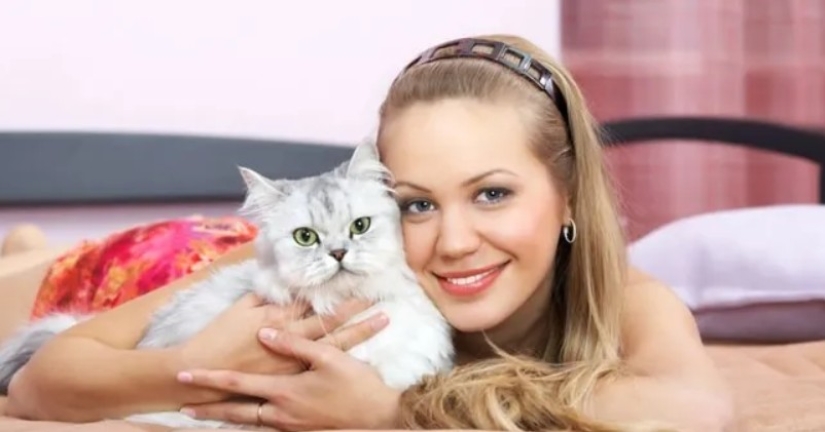 Cat parasites transmitted through feces make people more attractive