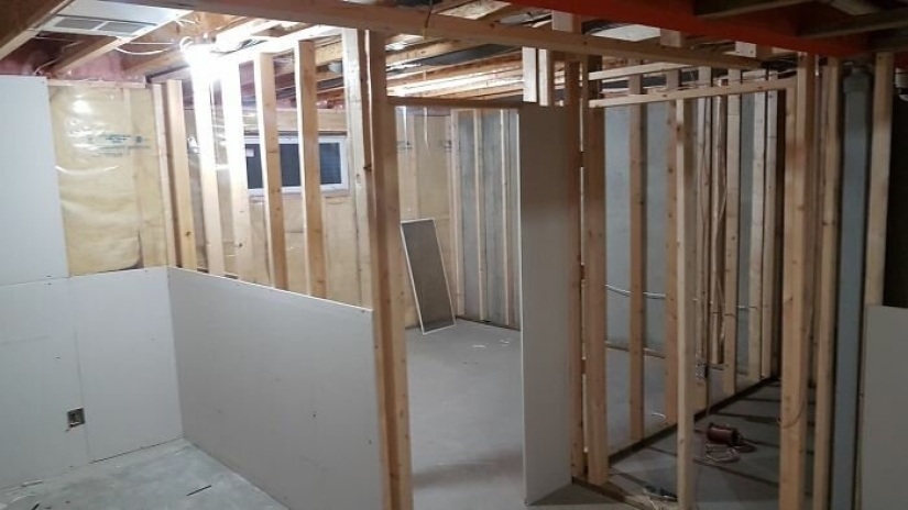 Cat's paradise with his own hands: the guy converted the basement into a room for his dead brother's pets