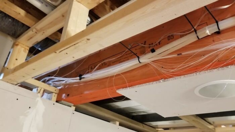 Cat's paradise with his own hands: the guy converted the basement into a room for his dead brother's pets