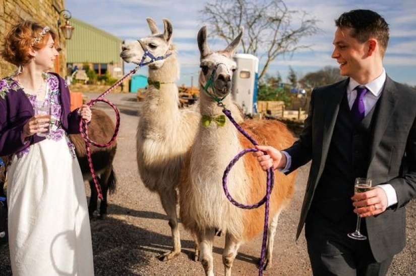 Celebración del Amor: Parejas que jugaron bodas únicas durante la cuarentena