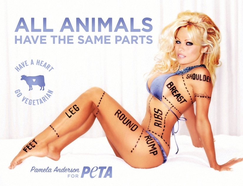 Celebrities who Stripped Off to Participate in PETA's Anti-Mech Campaign Celebrities who Stripped Off to Participate in PETA's Anti-Mech Campaign