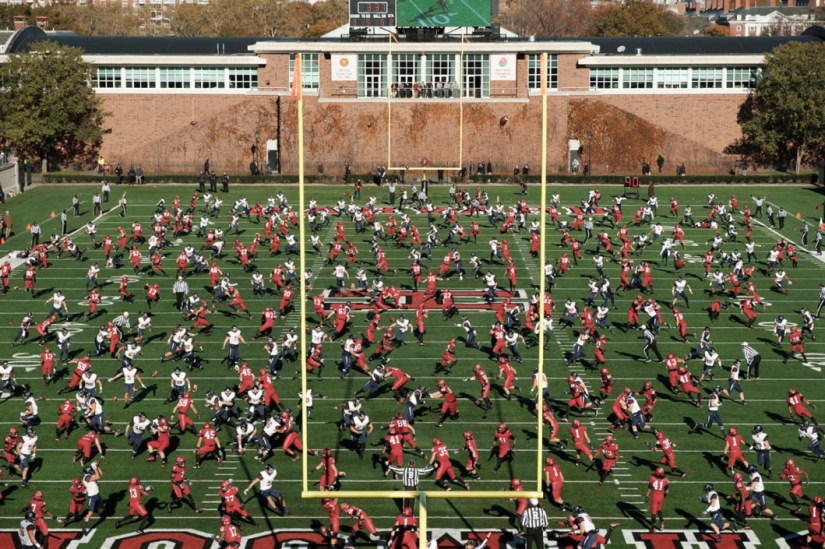 Chaos and dynamics of sports competitions in Pelle Kassa collages