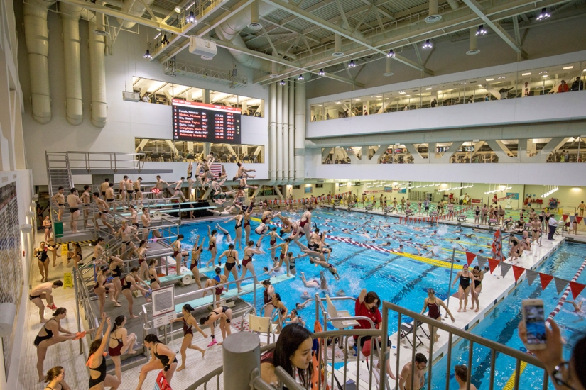 Chaos and dynamics of sports competitions in Pelle Kassa collages